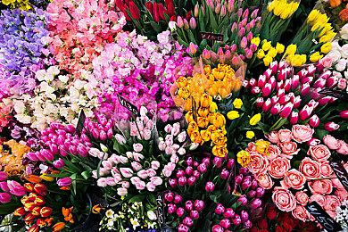 光速辟谣！ Xenia官方否认与微软合作“Xbox经典游戏计划