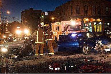 《狩猎之道》新DLC玛塔里基公园解锁新西兰美景